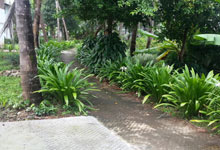 Sadhoo Heritage Hotel Garden
